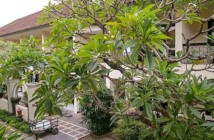 Paradiso Legian (Bali)