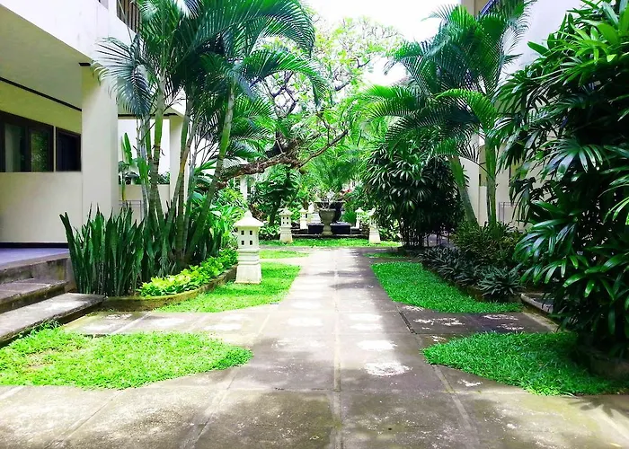 Paradiso Hotel 3*